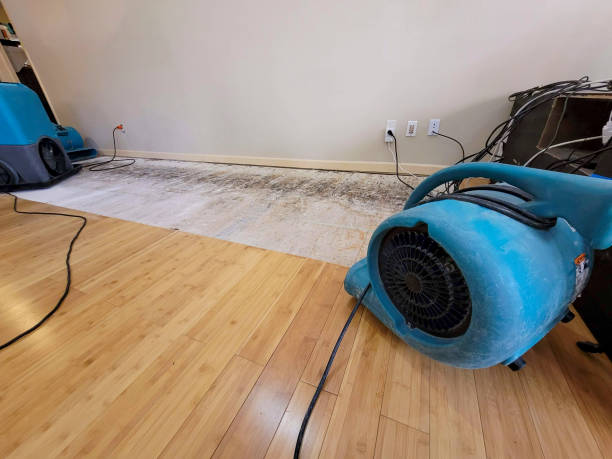 Professional Burst Pipe Water Damage technician working in Woodside, CA